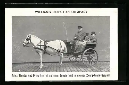 AK Williams Liliputian Company, Prinz Theodor und Prinz Heinrich im eigenen Zwerg-Pony-Gespann