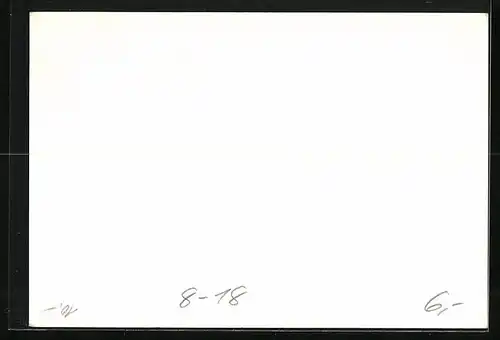 AK Berlin, Zirkus Renz, Dompteurin mit Ponys