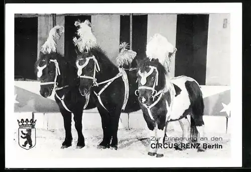 AK Berlin, Zirkus Renz, Drei Ponys