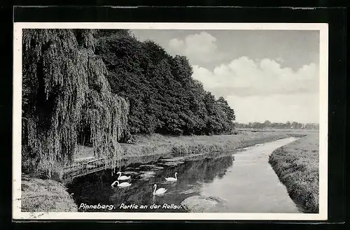 AK Pinneberg, Partie an der Rellau