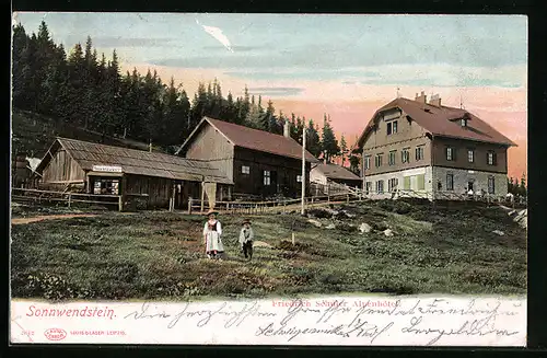 AK Schottwien, Sonnwendstein, Friedrich Schiller Alpenhotel