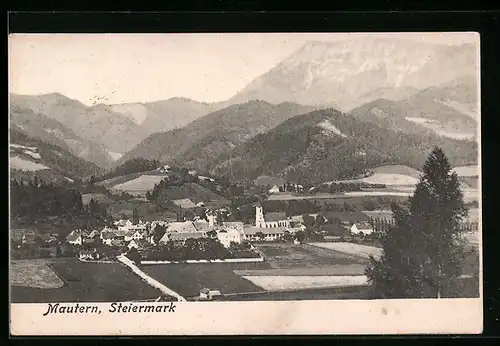 AK Mautern, Gesamtansicht mit Feldern und Bergen aus der Vogelschau