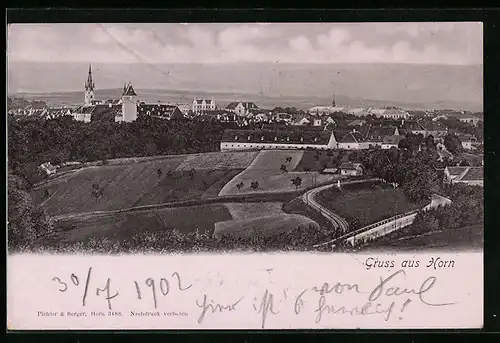 AK Horn, Fernblick auf die Stadt mit Schloss