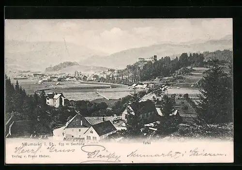 AK Neumarkt i. St., Totalansicht mit Fernblick