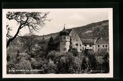 AK Bregenz a / B., Altes Schloss