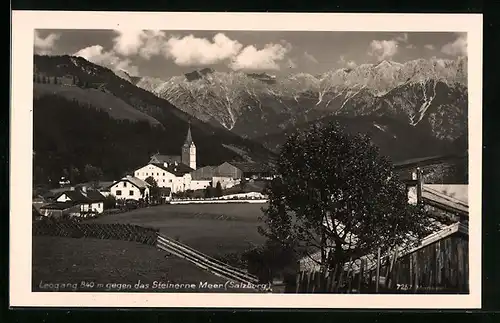 AK Leogang, Ortsblick gegen das Steinerne Meer