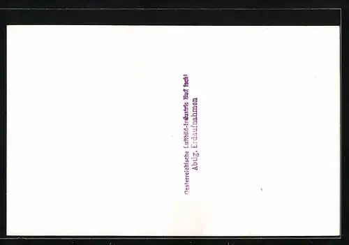 AK Mauerkirchen, Ansicht der Volks- und Hauptschule