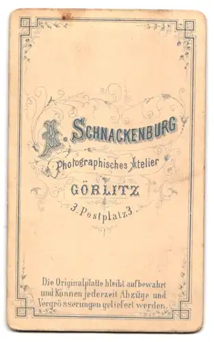 Fotografie A. Schnackenburg, Görlitz, Postplatz 3, Portrait bildschöne Dame mit elegantem Ohr- und Halsschmuck