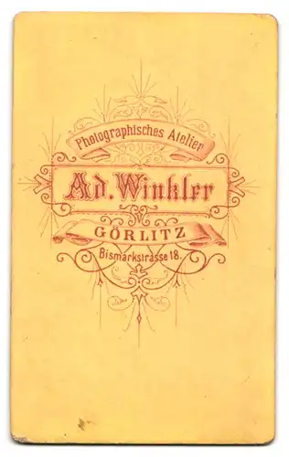 Fotografie Ad. Winkler, Görlitz, Bismarckstr. 18, Portrait hübsche Dame in besticktem Kleid