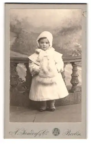 Fotografie A. Jandorf & Co., Berlin, kleines Mädchen im weissen Winterkleid mit Muff und Haube