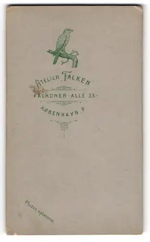 Fotografie Atelier Falken, Kobenhavn, Falkoner-Allee 33, Falke sitzt auf einem Ast