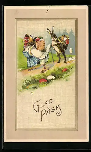 AK Osterhase begleitet Henne beim Spaziergang