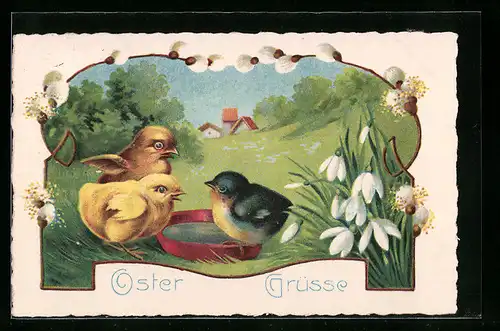 AK Osterküken mit Schale Wasser