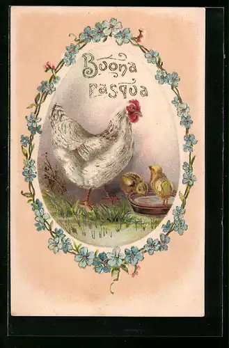 AK Osterküken trinken aus der Wasserschale