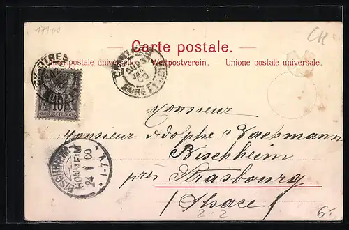 AK Basel, Stadt-Post, Briefmarken mit Edelweiss