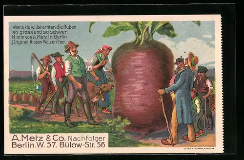Künstler-AK Berlin, A. Metz & Co. Nachfolger, Bülow-Str. 56, Bauern mit einer Riesenrübe, Reklame