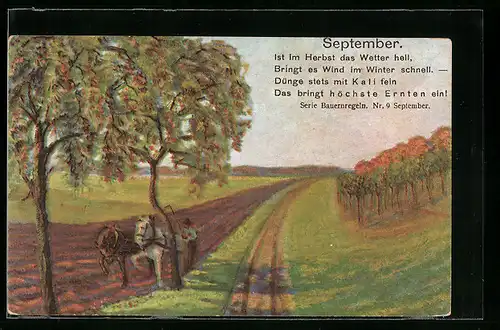 AK Bauer mit einem Pferdepflug, Reklame für Kalidünger