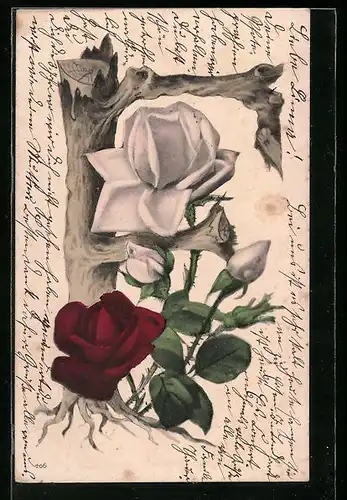 AK Buchstabe F mit weisser und roter Rose