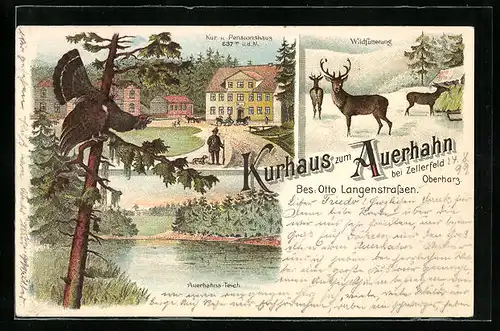 Lithographie Hahnenklee, Kurhaus Auerhahn, Wildfütterung, Auerhahn-Teich