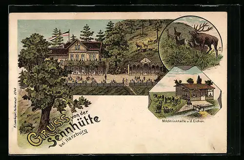 Lithographie Harzburg, Gasthaus Sennhütte, Milchtrinkhalle u. d. Eichen, Hirsch und Rehe