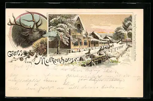 Winter-Lithographie Bad Harzburg, Molkenhaus, Hirsch