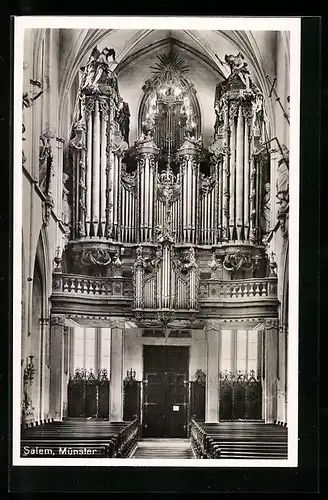 AK Salem, Orgel im Münster