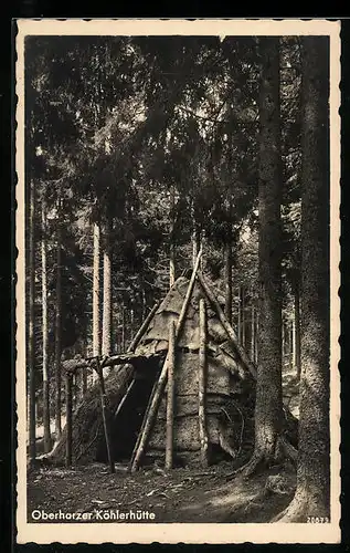 AK Oberharzer Köhklerhütte im Wald