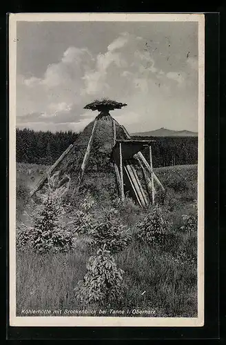 AK Tanne /Harz, Köhlerhütte mit Brockenblick