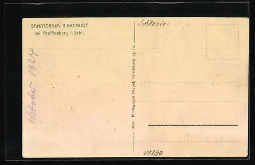 AK Greiffenberg i. Schl., Sanatorium Birkenhof, Ortsansicht mit Isergebirge, Parkansicht