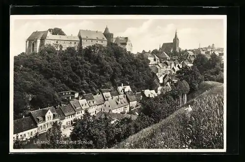 AK Leisnig, Totalansicht mit Schloss