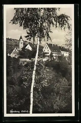 AK Leonberg, Blick zum Schloss