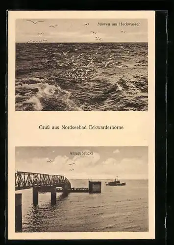 AK Eckwarderhörne, Möwen am Heckwasser und Anlegebrücke