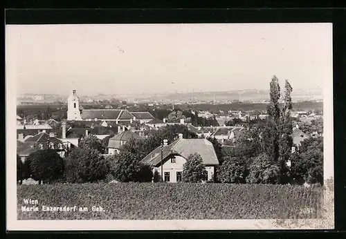AK Maria Enzersdorf am Geb., Teilansicht mit Kirche