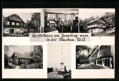 AK Wachau /N.-Ö., Gasthaus Gipfelhaus am Jauerling, Innenansicht, Terrasse