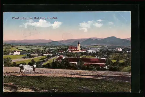 AK Pfarrkirchen bei Bad Hall, Ortspartie mit Kirche und Kühen