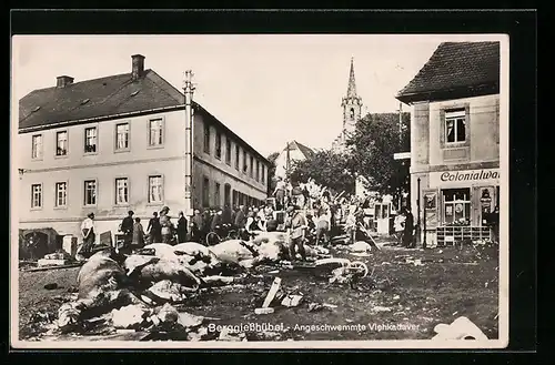 AK Berggiesshübel, Angeschwemmte Viehkadaver, Hochwasser am 8. Juli 1927