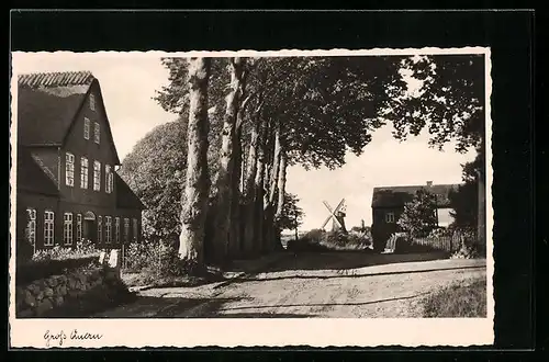 AK Gross Quern, Strassenpartie mit Windmühle