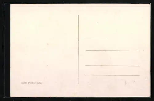 AK Berlin-Tiergarten, Schloss Bellevue mit Garten