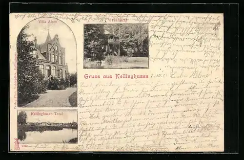 AK Kellinghusen, Villa Alsen, Totalansicht