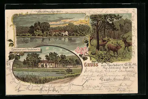 Lithographie Berlin-Paulsborn, Restaurant Paulsborn, Jagdschloss Grunewald