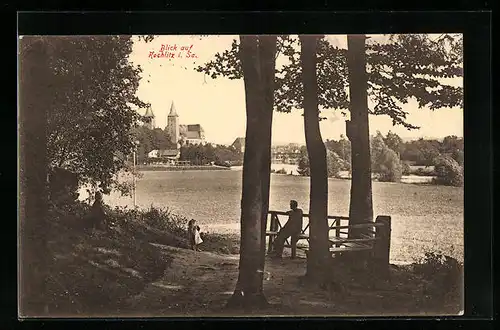 AK Rochlitz i. Sa., Schöne Aussicht auf den Ort