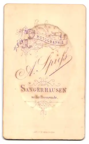 Fotografie A. Spiess, Sangerhausen, An der Promenade, Junger Herr im karierten Anzug mit Fliege