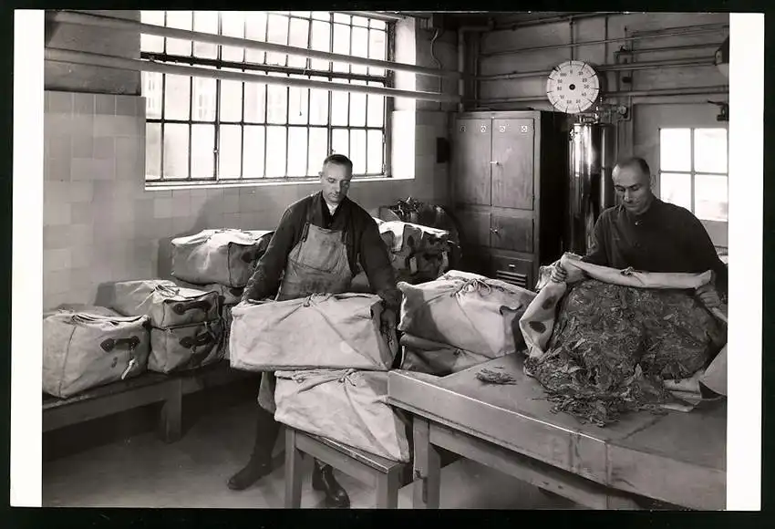 43 Fotografien Reemtsma Tabakfabrik Hamburg, Tabakverarbeitung, Werk, Zigarettenfabrik, Trockenstempel Franz Rompel, HH 13