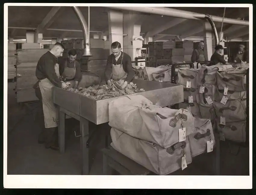43 Fotografien Reemtsma Tabakfabrik Hamburg, Tabakverarbeitung, Werk, Zigarettenfabrik, Trockenstempel Franz Rompel, HH 14