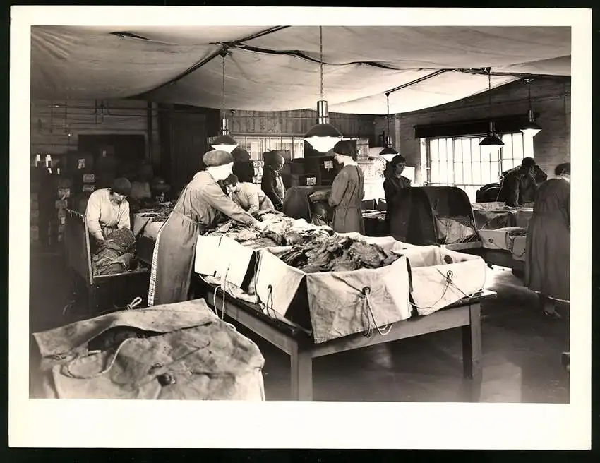 43 Fotografien Reemtsma Tabakfabrik Hamburg, Tabakverarbeitung, Werk, Zigarettenfabrik, Trockenstempel Franz Rompel, HH 21