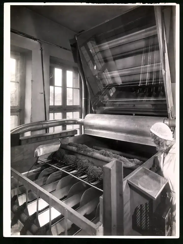 43 Fotografien Reemtsma Tabakfabrik Hamburg, Tabakverarbeitung, Werk, Zigarettenfabrik, Trockenstempel Franz Rompel, HH 24