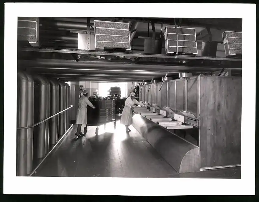 43 Fotografien Reemtsma Tabakfabrik Hamburg, Tabakverarbeitung, Werk, Zigarettenfabrik, Trockenstempel Franz Rompel, HH 26