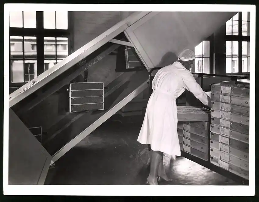 43 Fotografien Reemtsma Tabakfabrik Hamburg, Tabakverarbeitung, Werk, Zigarettenfabrik, Trockenstempel Franz Rompel, HH 27