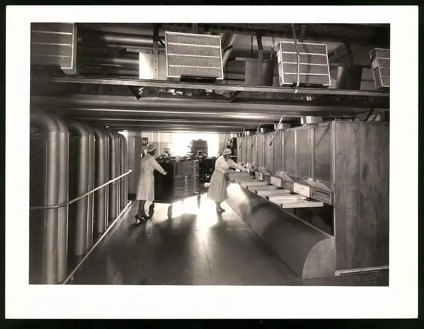 43 Fotografien Reemtsma Tabakfabrik Hamburg, Tabakverarbeitung, Werk, Zigarettenfabrik, Trockenstempel Franz Rompel, HH 28