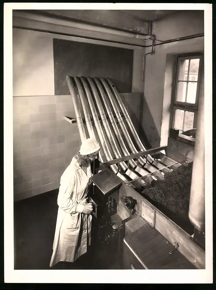 43 Fotografien Reemtsma Tabakfabrik Hamburg, Tabakverarbeitung, Werk, Zigarettenfabrik, Trockenstempel Franz Rompel, HH 3